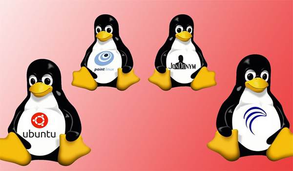 Linux phát hành nhiều bản phân phối mới và thuờng xuyên nâng cấp để đáp ứng nhu cầu người dùng