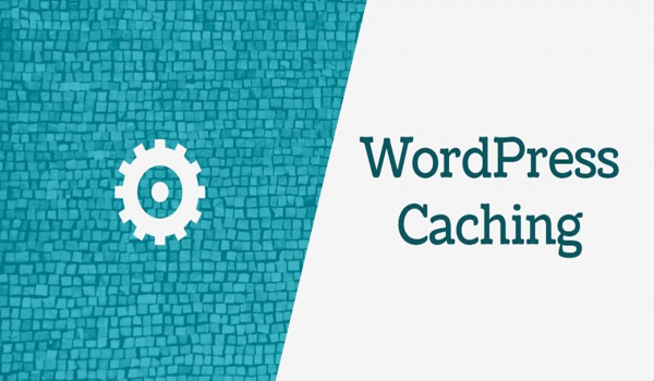 Tổng hợp plugin hỗ trợ cache cho website WordPress
