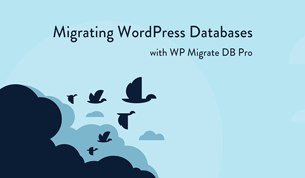 WP Migrate cung cấp tính năng one-click tiện lợi 