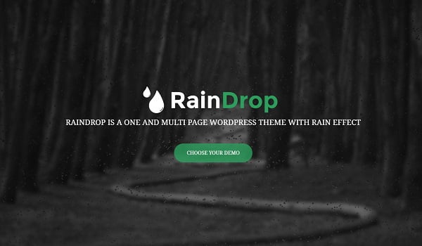 RainDrop là Theme WordPress đẹp mắt và cho phép tùy chỉnh Logo và Favicon. 